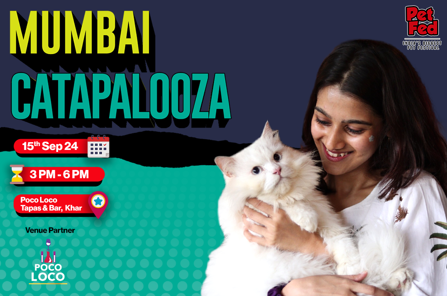 MUMBAI CATAPALOOZA