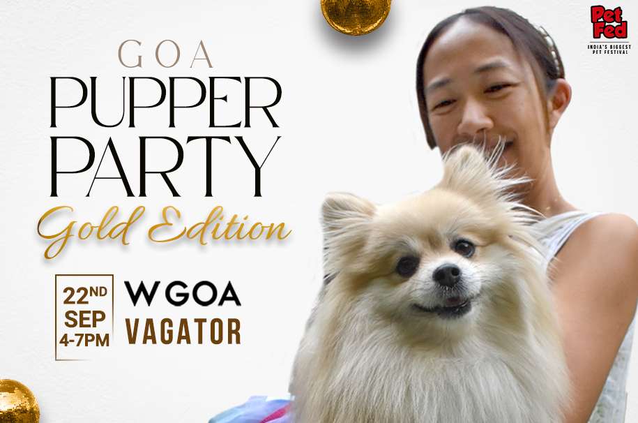 GOA PUPPER PARTY- GOLD EDITION